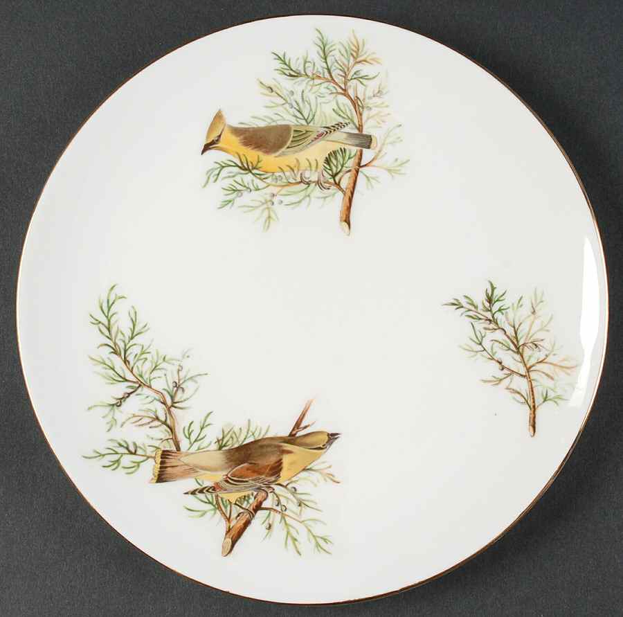 Audubon Birds Salad Plate by Royal Chelsea-1