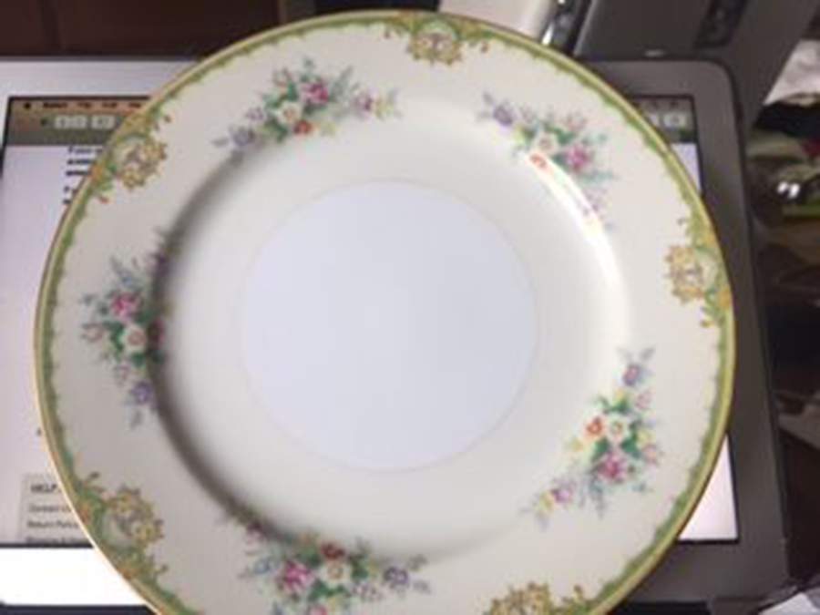 RCJ1 Dinner Plate by Royal China Japan-1