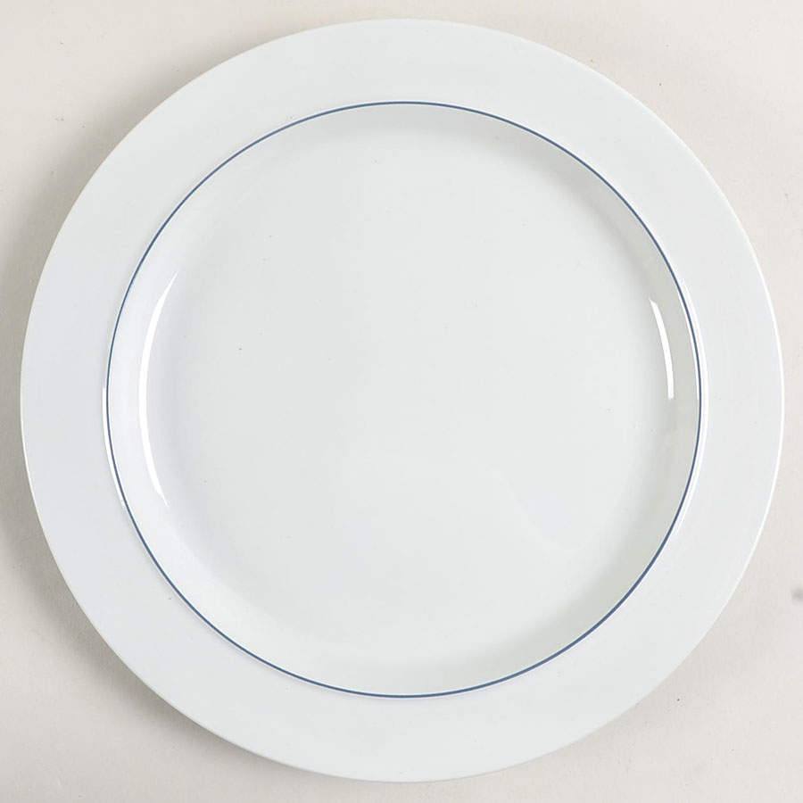 Blue Line Dinner Plate by Royal Copenhagen-1