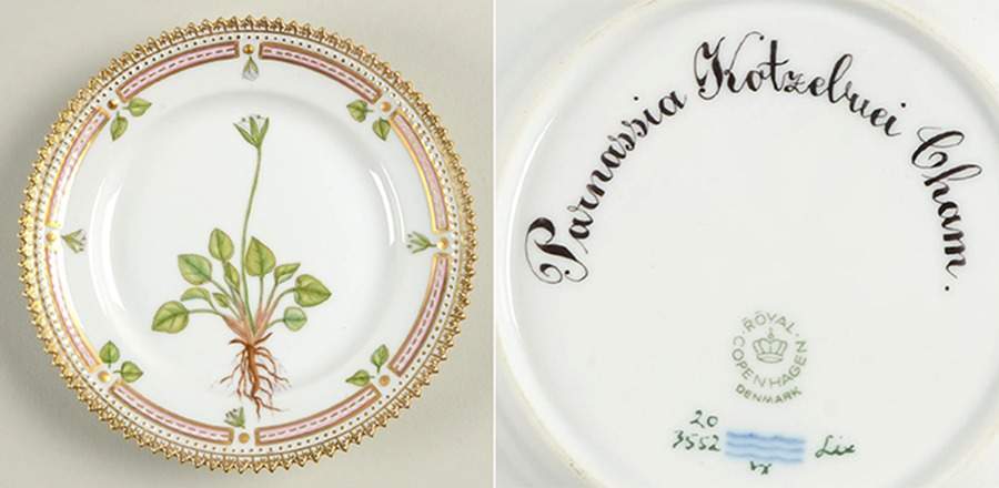 Flora Danica (1961 To Current) Bread & Butter Plate-Parnassia kotzebuei Cham. by Royal Copenhagen-1