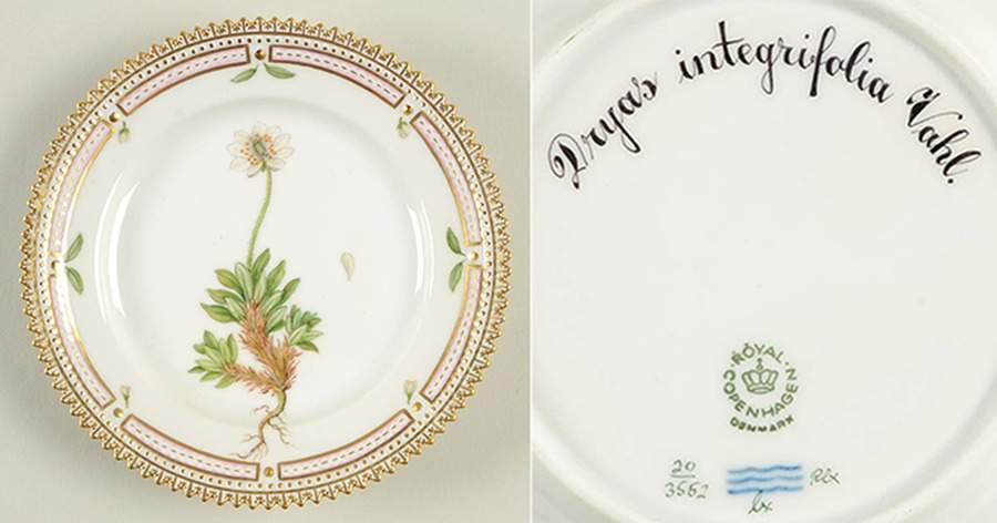 Flora Danica (1961 To Current) Bread & Butter Plate-Dryas integrifolia Vahl by Royal Copenhagen-1