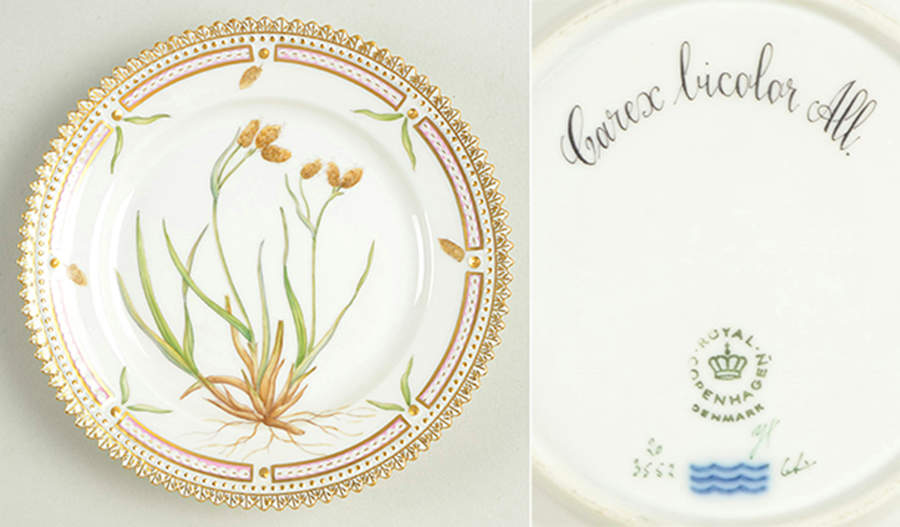 Flora Danica (1961 To Current) Bread & Butter Plate-Carex bicolor All. by Royal Copenhagen-1