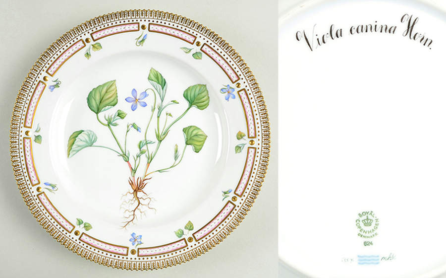 Flora Danica (1961 To Current) Dinner Plate-Viola canina Horn. by Royal Copenhagen-1