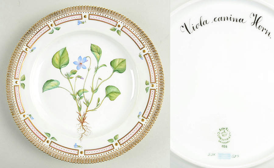 Flora Danica (1961 To Current) Dinner Plate-Viola canina Horn by Royal Copenhagen-1