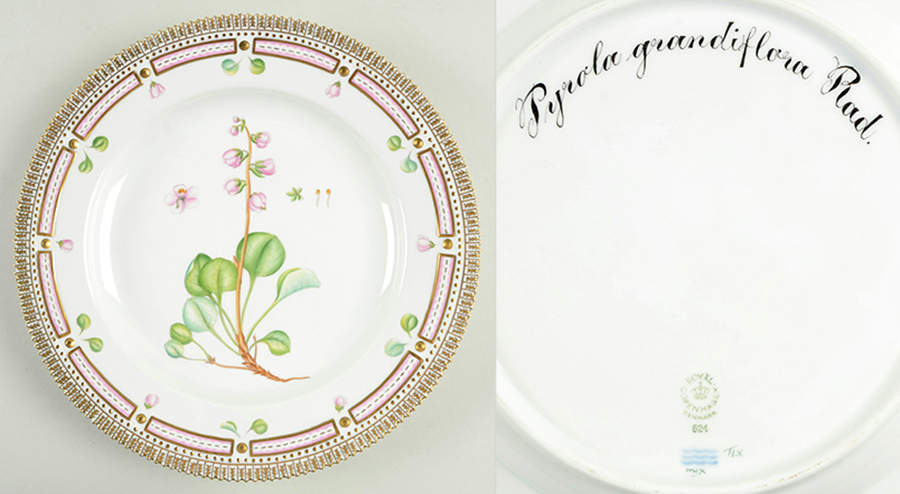 Flora Danica (1961 To Current) Dinner Plate-Pyrola grandiflora Rad. by Royal Copenhagen-1