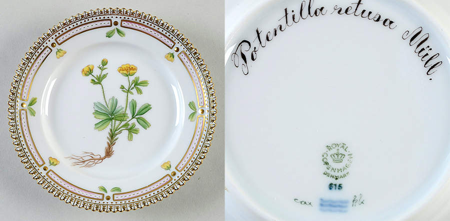 Flora Danica (1961 To Current) Bread & Butter Plate-Potentilla retusa Miill by Royal Copenhagen-1