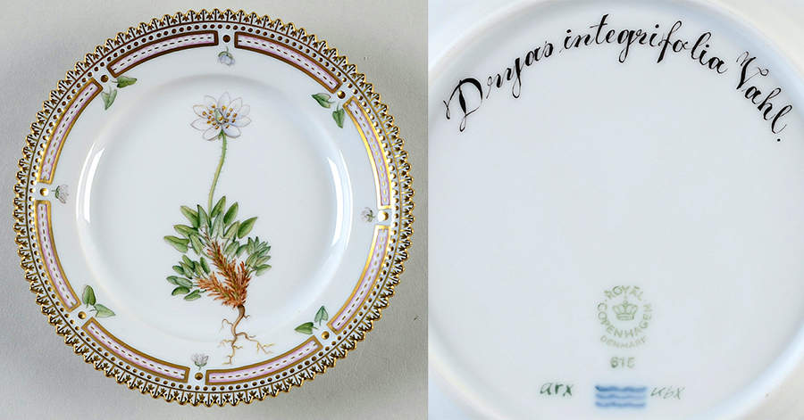 Flora Danica (1961 To Current) Bread & Butter Plate-Dryas integrifolia Vahl by Royal Copenhagen-1