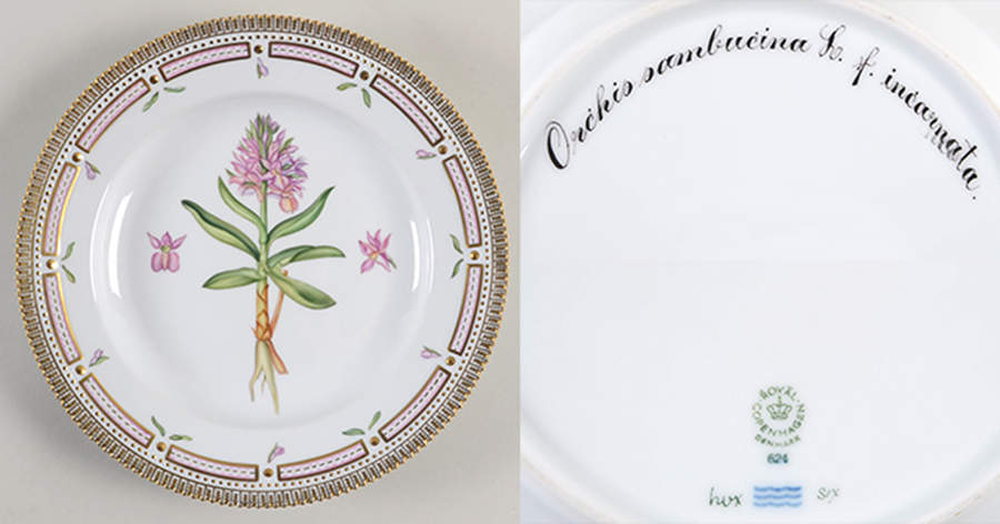 Flora Danica (1961 To Current) Dinner Plate-Orchis sambucina L by Royal Copenhagen-1