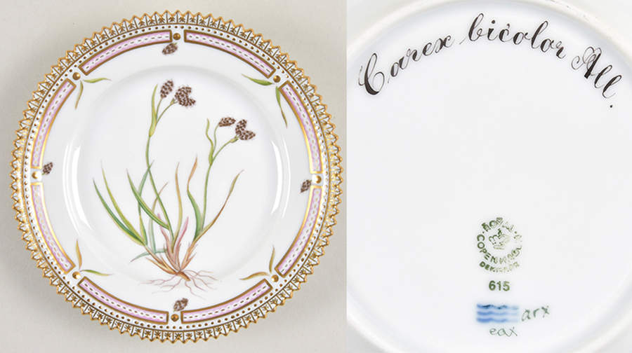 Flora Danica (1961 To Current) Bread & Butter Plate-Carex bicolor All. by Royal Copenhagen-1