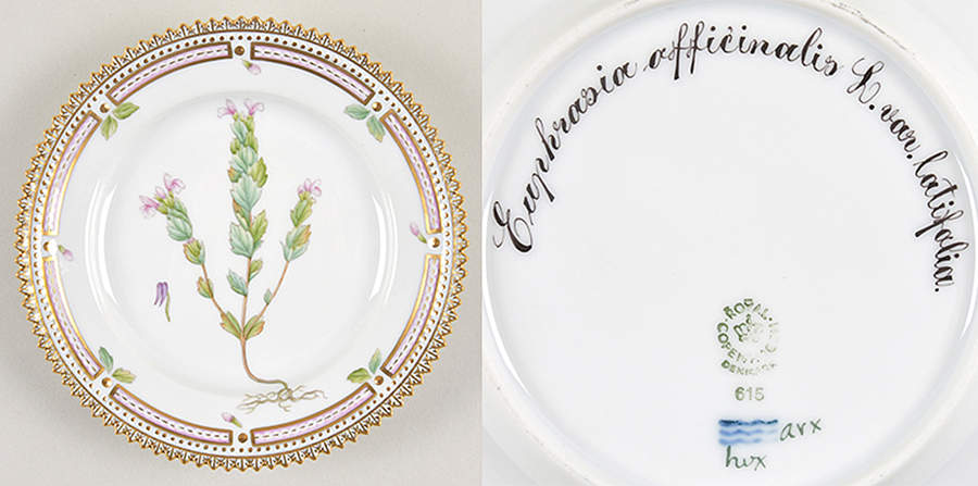Flora Danica (1961 To Current) Bread & Butter Plate-Euphrasia officinalis L. var by Royal Copenhagen-1