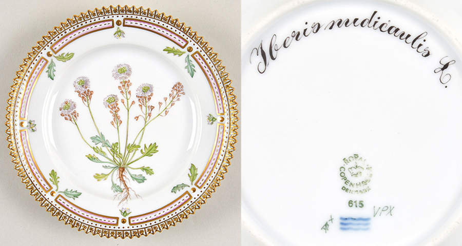 Flora Danica (1961 To Current) Bread & Butter Plate-Heris medicaolis L. by Royal Copenhagen-1