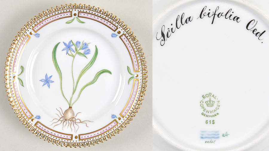 Flora Danica (1961 To Current) Bread & Butter Plate-Scilla bifolia Oed. by Royal Copenhagen-1