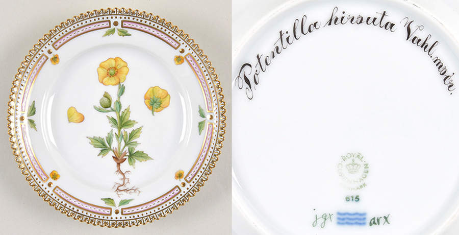 Flora Danica (1961 To Current) Bread & Butter Plate-Potentilla hirsula Vahl mocr by Royal Copenhagen-1