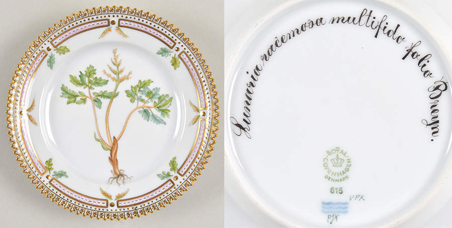 Flora Danica (1961 To Current) Bread & Butter Plate-Lunaria racemosa multifido fo by Royal Copenhagen-1