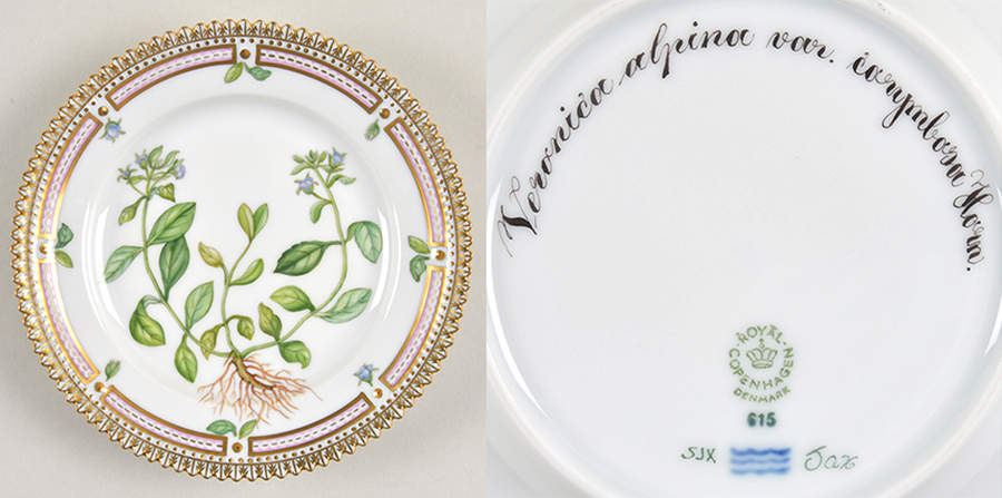 Flora Danica (1961 To Current) Bread & Butter Plate-Veronica alpina var. corymbos by Royal Copenhagen-1