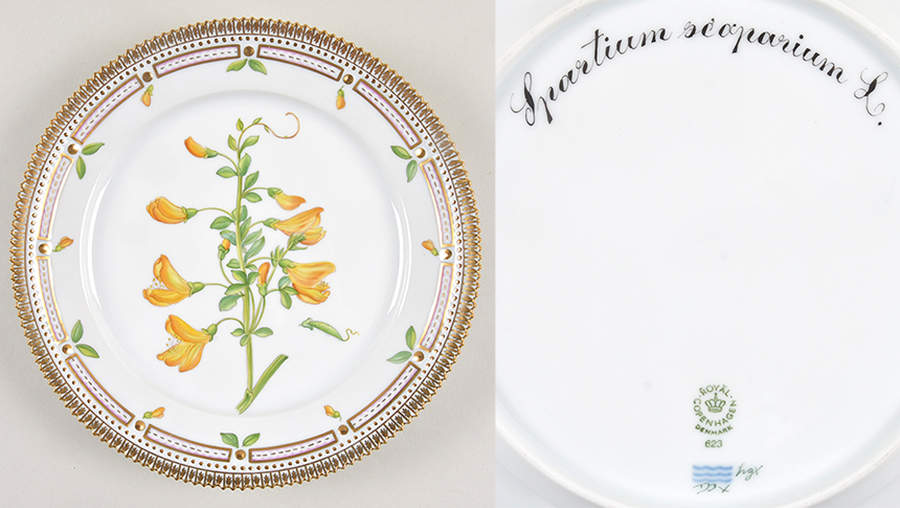 Flora Danica (1961 To Current) Luncheon Plate-Sparticum scoparium L by Royal Copenhagen-1