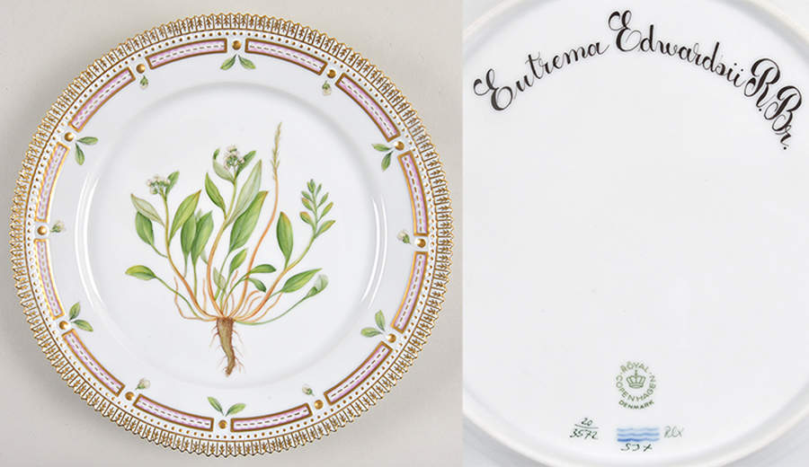 Flora Danica (1961 To Current) Luncheon Plate-Eutrema edwarsii R Br by Royal Copenhagen-1