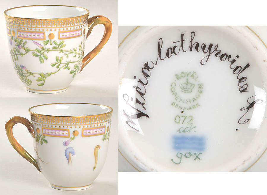 Flora Danica (1961 To Current) Flat Cup-Vicia lochyroides L. by Royal Copenhagen-1