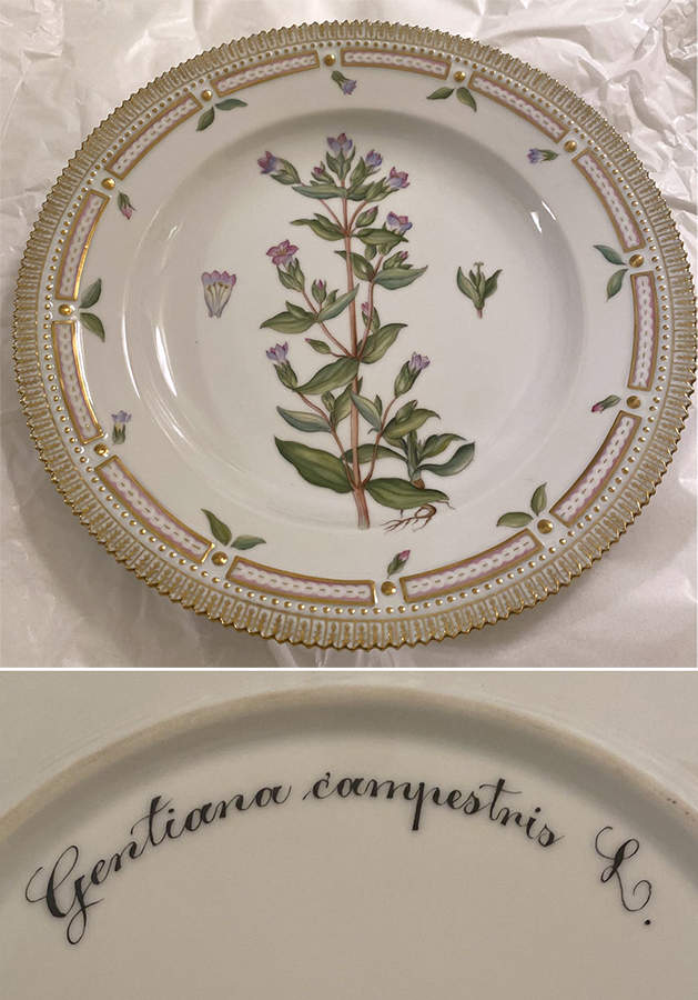 Flora Danica (1961 To Current) Dinner Plate-Gentiana campestris L. by Royal Copenhagen-1