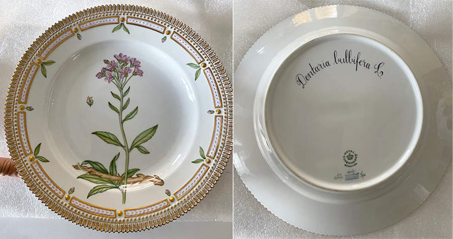 Flora Danica (1961 To Current) Dinner Plate-Dentaria bulbifera L by Royal Copenhagen-1