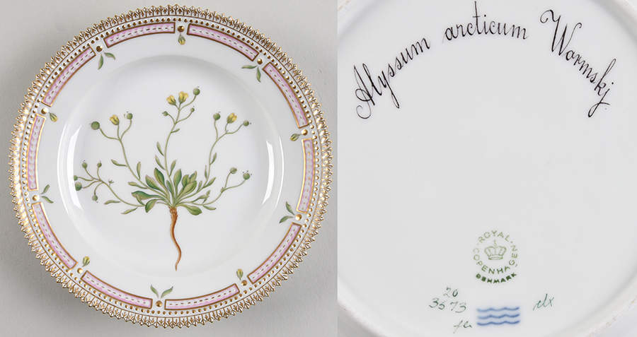 Flora Danica (1961 To Current) Salad Plate-Alyssum arcticum Wormskj by Royal Copenhagen-1