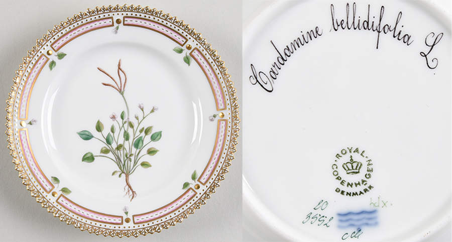 Flora Danica (1961 To Current) Bread & Butter Plate-Cardamine bellidifolia L. by Royal Copenhagen-1