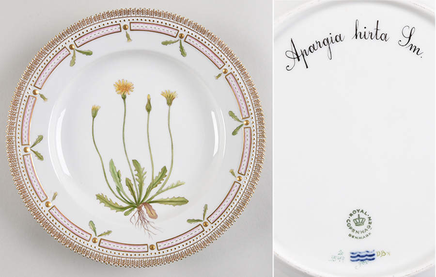 Flora Danica (1961 To Current) Dinner Plate-Apargia hirta Ln by Royal Copenhagen-1