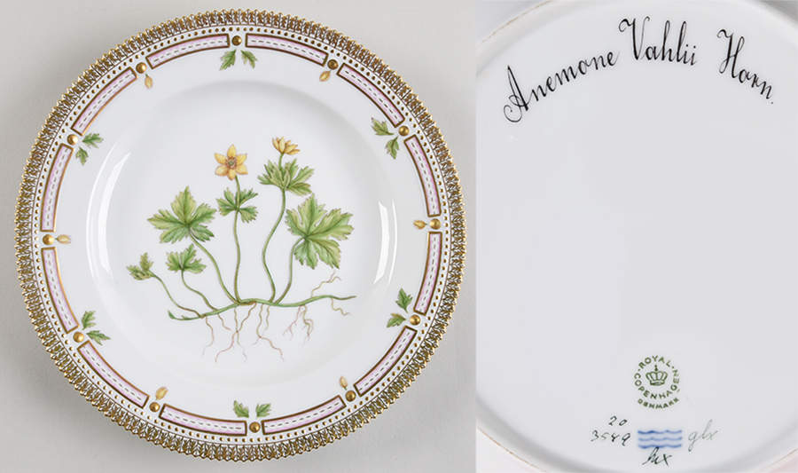 Flora Danica (1961 To Current) Dinner Plate-Anemone vahlii Horn by Royal Copenhagen-1