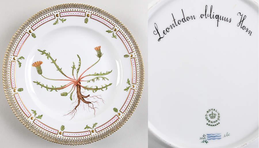 Flora Danica (1961 To Current) Dinner Plate-Leontodon obliquus Horn by Royal Copenhagen-1