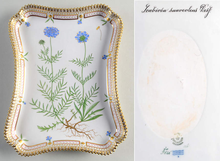 Flora Danica (1961 To Current) 11" Rectangular Tray-Scabiosa suaveolens Desf by Royal Copenhagen-1