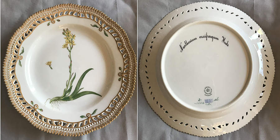 Flora Danica (1961 To Current) 10" Pierced Dinner Plate/Fruit Std-Narthecium ossi by Royal Copenhagen-1