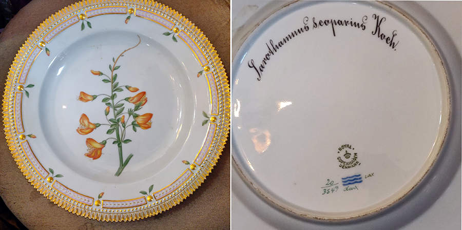 Flora Danica (1961 To Current) Dinner Plate-Sarothamnus seoparius Koch. by Royal Copenhagen-1