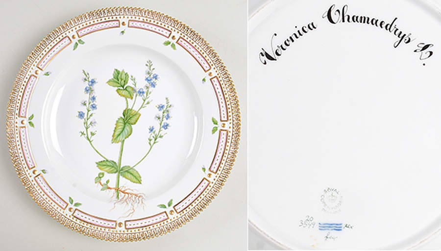 Flora Danica (1961 To Current) Dinner Plate-Veronica Chamaedrys L. by Royal Copenhagen-1
