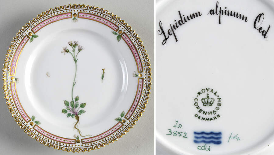 Flora Danica (1961 To Current) Bread & Butter Plate-Lepidium alpinum Oed. by Royal Copenhagen-1