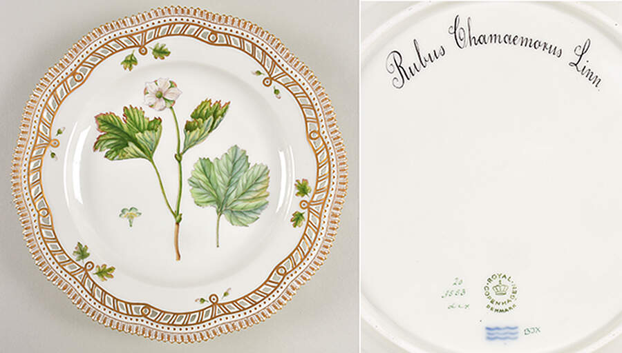 Flora Danica (1961 To Current) 10" Pierced Dinner Plate/Fruit Std-Rubus Chamaemor by Royal Copenhagen-1