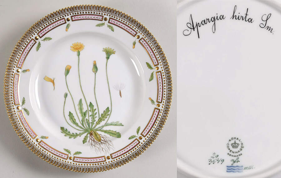 Flora Danica (1961 To Current) Dinner Plate-Apargia hirta Sm by Royal Copenhagen-1