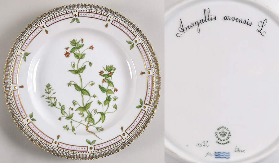 Flora Danica (1961 To Current) Dinner Plate-Anagallis arvensis L. by Royal Copenhagen-1