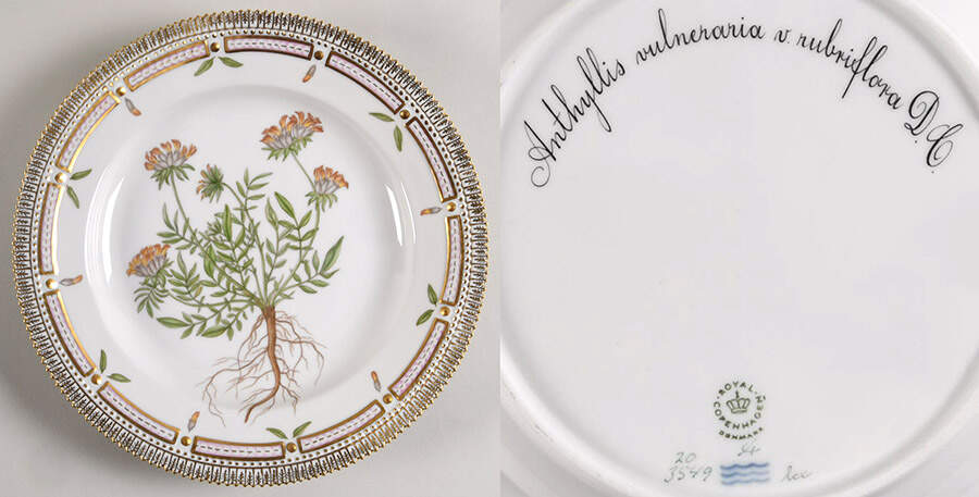 Flora Danica (1961 To Current) Dinner Plate-Anthyllis vulneraria v. rubriflora D. by Royal Copenhagen-1