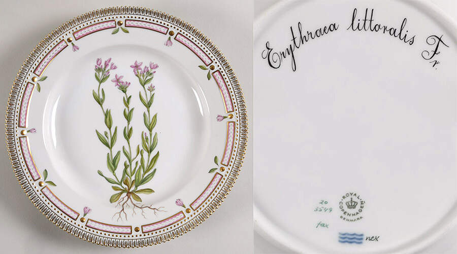 Flora Danica (1961 To Current) Dinner Plate-Erythraca littoralis Fr. by Royal Copenhagen-1