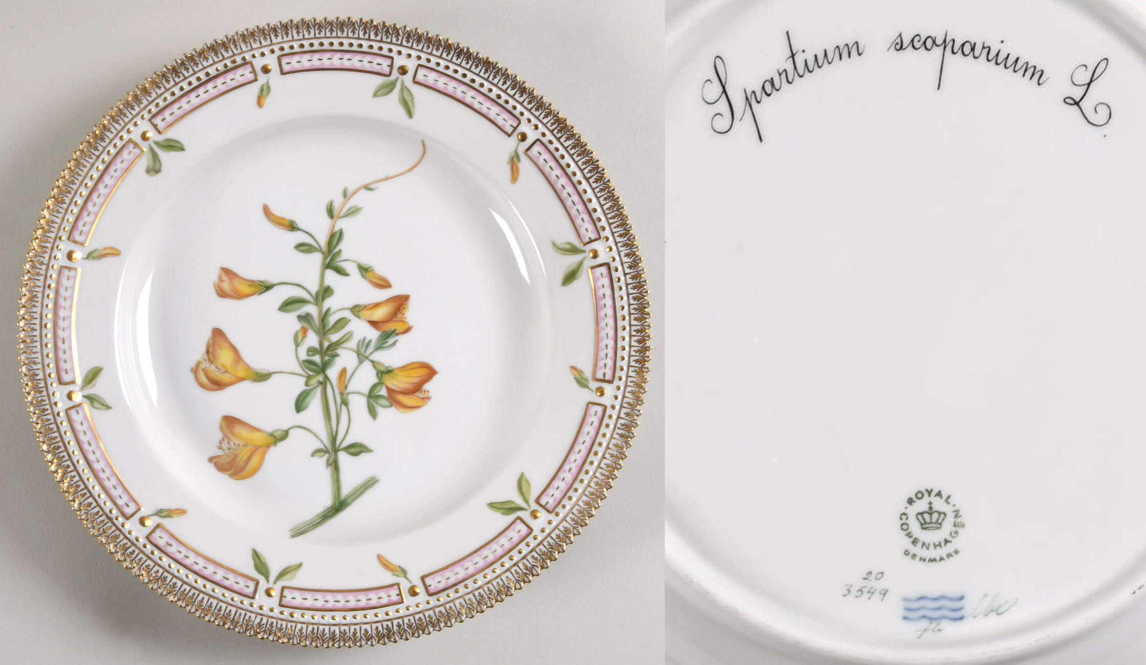 Flora Danica (1961 To Current) Dinner Plate-Spartium scoparium L by Royal Copenhagen-1