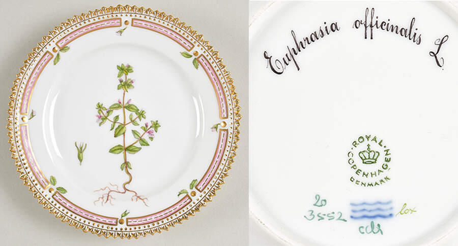 Flora Danica (1961 To Current) Bread & Butter Plate-Euphrasia officinalis L. by Royal Copenhagen-1