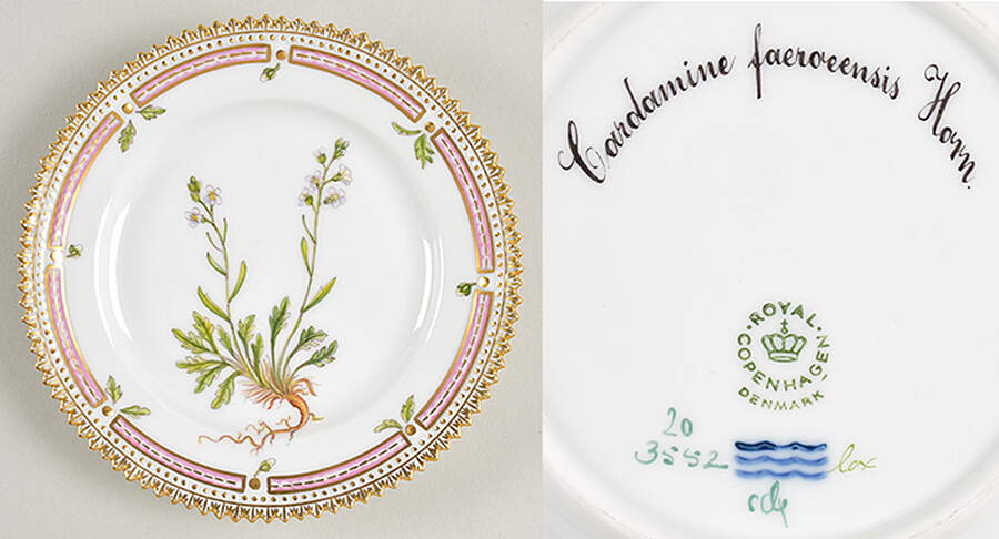 Flora Danica (1961 To Current) Bread & Butter Plate-Cardamine faeroeenis Horn by Royal Copenhagen-1