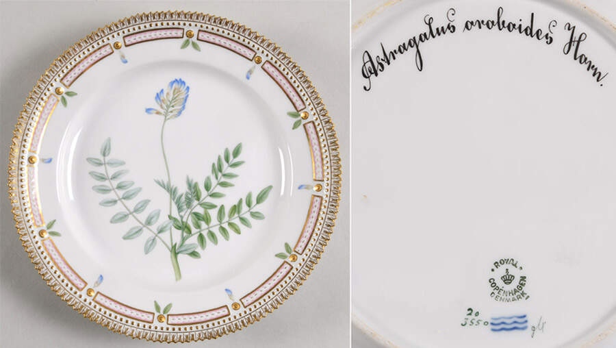 Flora Danica (1961 To Current) Luncheon Plate-Astragalus oroboides Horn by Royal Copenhagen-1