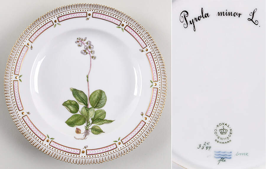 Flora Danica (1961 To Current) Dinner Plate-Pyrola minor L. by Royal Copenhagen-1