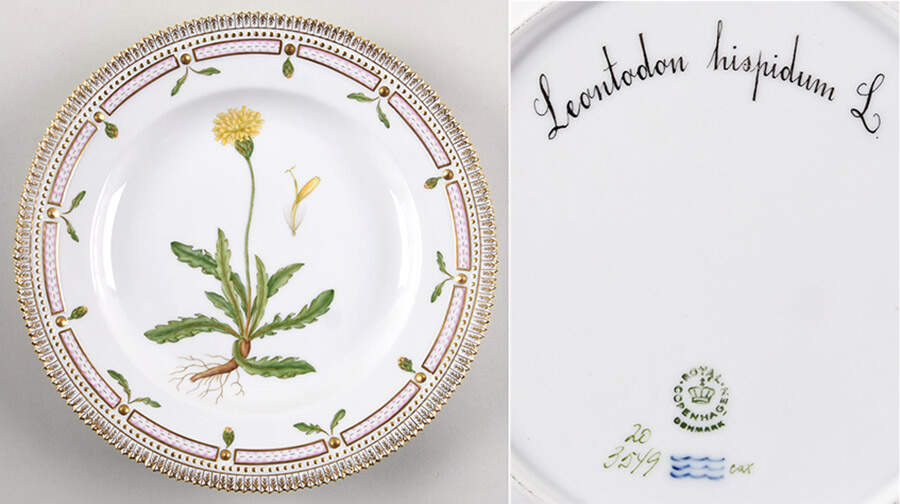 Flora Danica (1961 To Current) Dinner Plate-Leontodon hispidum L by Royal Copenhagen-1