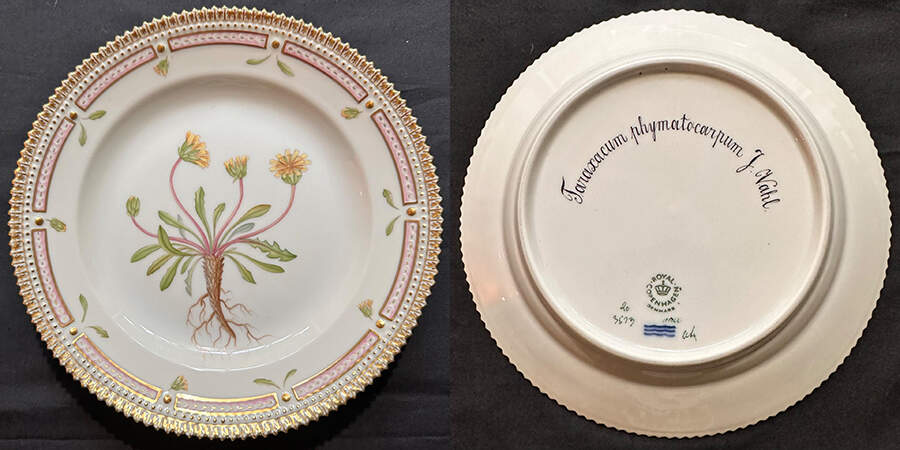 Flora Danica (1961 To Current) Dinner Plate-Taraxacum Phymatocarpum J. Vahl by Royal Copenhagen-1