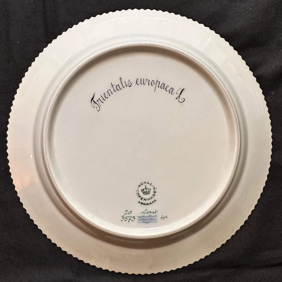 Flora Danica (1961 To Current) Dinner Plate-Trientalis europaca L. by Royal Copenhagen-1