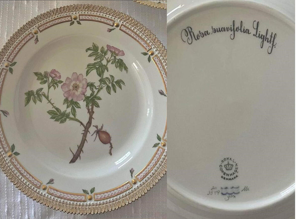 Flora Danica (1961 To Current) Dinner Plate-Rosa suavifolia Lighttf. by Royal Copenhagen-1