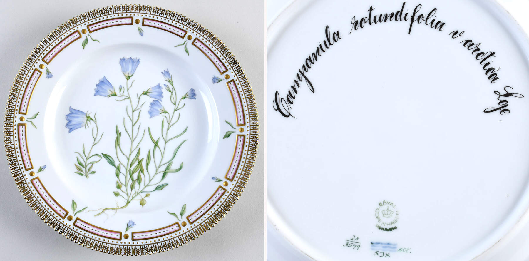 Flora Danica (1961 To Current) Dinner Plate-Campanula rotundifolia L. by Royal Copenhagen-1