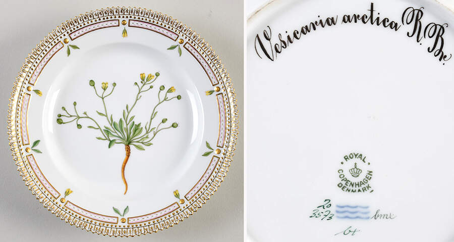 Flora Danica (1961 To Current) Salad Plate-Vesicaria arctica R.Br. by Royal Copenhagen-1